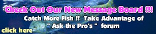 Click here for "Ask the Pros" message forum